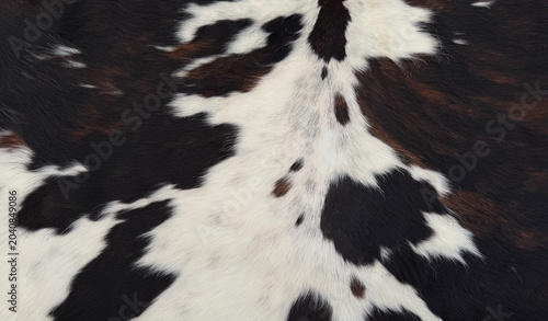 Cow Print Texture