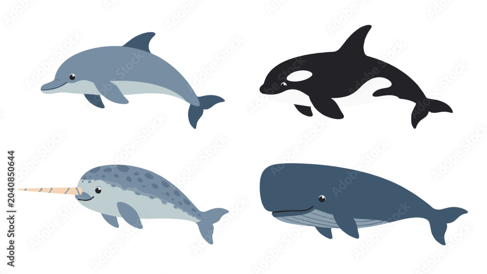 Fototapeta premium Cartoon marine mammals set with dolphin orca narwhal and whale