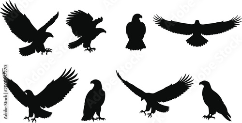 Konstfotografi Majestic black eagle silhouettes set, predatory birds of prey soaring, perching, and diving, fierce symbol of power, freedom, and national pride, vector illustration collection
