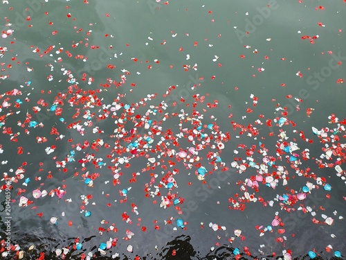Vibrant colorful flower petals floating on a calm water surface.