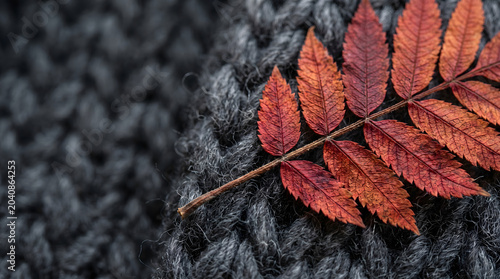 Сolorful autumn sumac leaf on a dark charcoal gray chunky knit wool blanket, Tactile seasonal background