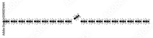 Schilderij op canvas line worker ants marching colony ant border animal illustration vector