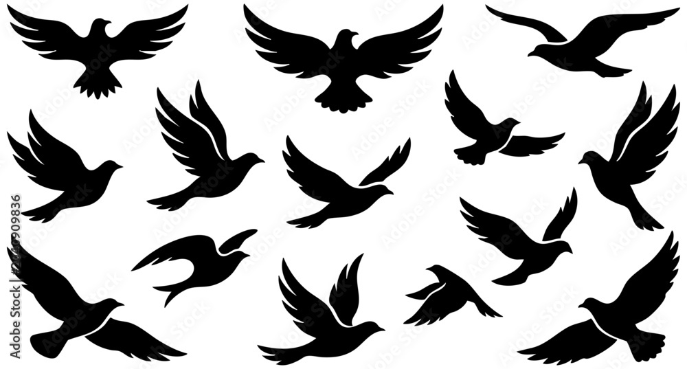 Fototapeta premium Set of black bird silhouettes flying in different dynamic poses for creative vector graphic design projects