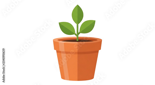 Small green plant growing in a terracotta pot