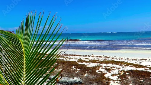 White sandy romantic empty beach. Tropical coastline with green vegetation. Sunny day on the tropical sea shore. Travel beach footage, shoreline in the wind.