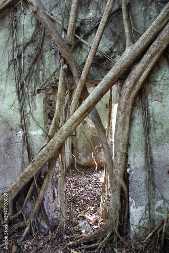 Photos Ruines de l'usine sucrière de Soulou, à Mayotte