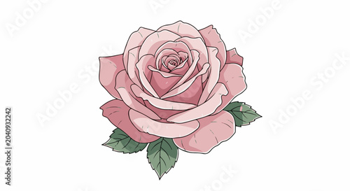 A delicate pink rose with layered petals and green leaves, set against a white background
