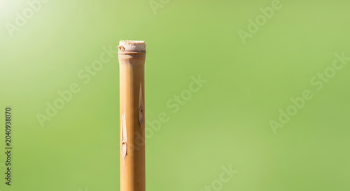 A single green onion stalk standing vertically against a green background.