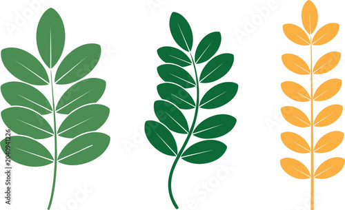 Foto Set of Three Minimalist Pinnate Leaf Vector Illustrations with Green and Golden