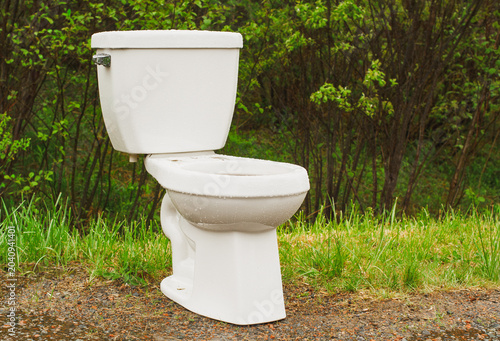 White residential toilet discarded on a roadside shoulder with foliage in the background.