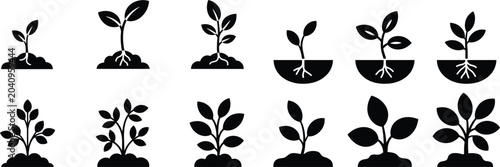Stages of plant growth icon set showing seedling development from soil with visible root systems for agriculture and education design ideas.