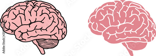 Foto Two human brain illustrations isolated on white background