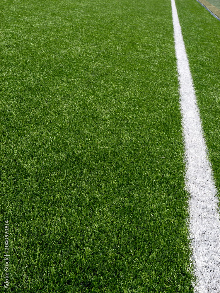Fototapeta premium Vertical white field marking on soccer turf