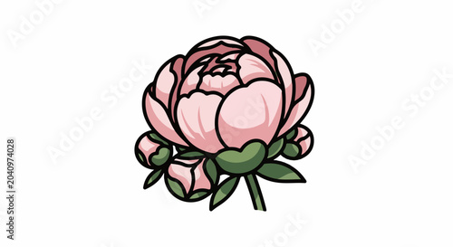 A stylized, hand-drawn pink peony with unopened buds and green leaves against a white background