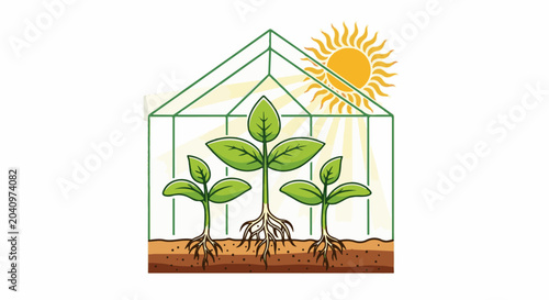 Greenhouse with growing plants and sun