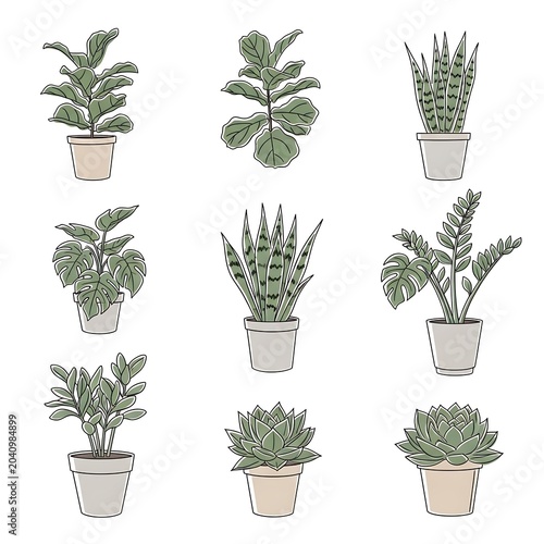 Collection of Nine Illustrated Potted Indoor Plants.