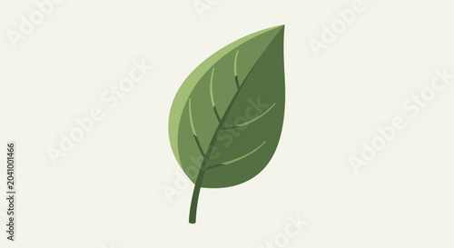 Obraz na plátně Green leaf with stem and veins.