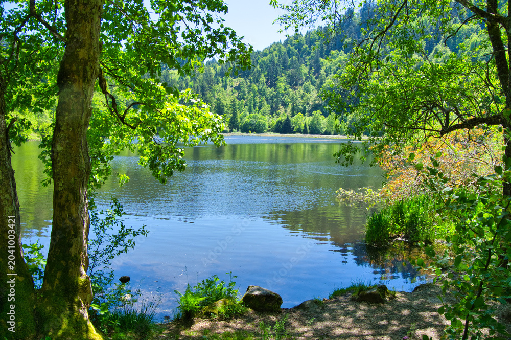 Obraz premium Nonnenmattweiher im Schwarzwald
