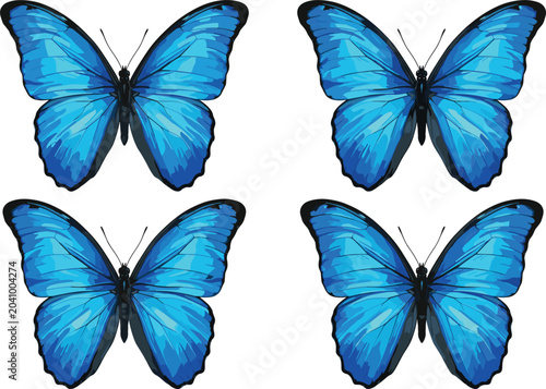Tableau sur toile Blue morpho butterfly detailed wings vector illustration set, beautiful exotic f