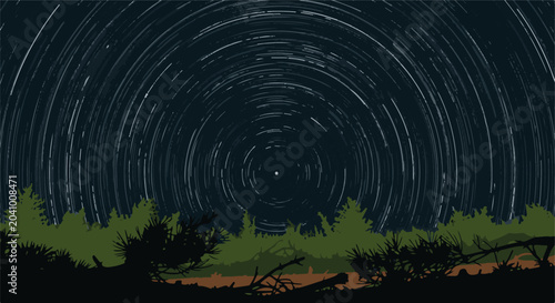 Star trails arc across a dark sky above a silhouette of pine trees and forest floor