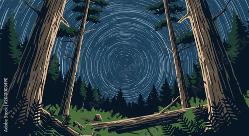 Framed by towering trees, a dense forest floor is lit by swirling star trails in a dark night sky