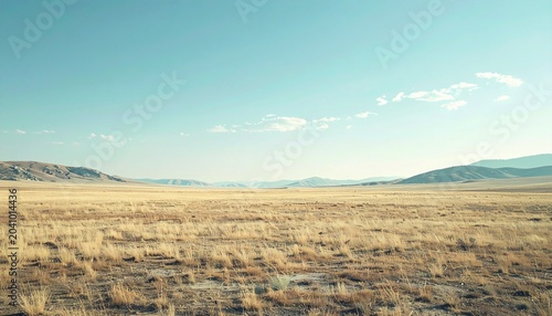 Vast expanse of golden grassland under a serene blue sky.