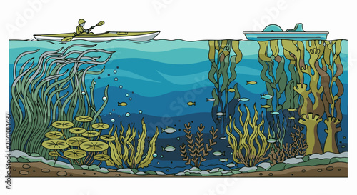 Kayaker and boat above vibrant underwater kelp forest teeming with fish