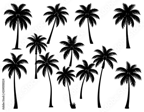Black silhouettes of tropical palm trees.