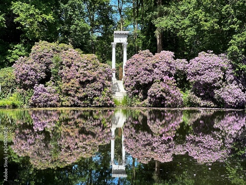 flowers in the park with pond like a mirror