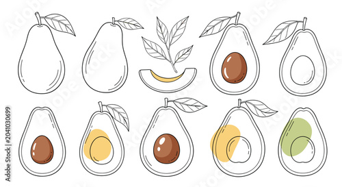 Collection of avocado illustrations including whole, halved, and abstract line art versions on a white background.