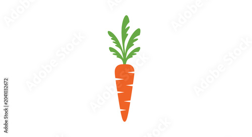 Fresh orange carrot vegetable root closeup.