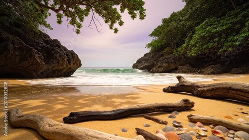 Serene tropical beach cove with golden sand, weathered driftwood logs, and lush green cliffs at sunset