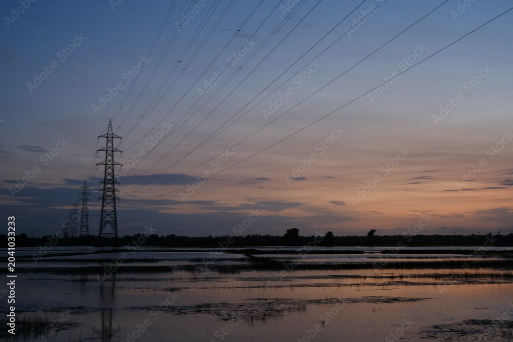 Fototapeta premium paddy field during monsoon in Kerala