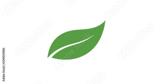 Green leaf isolated on white background.