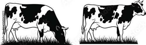 Quadro su tela Holstein Dairy Cow Silhouette Set with Grazing and Standing Cattle Farm Animal V