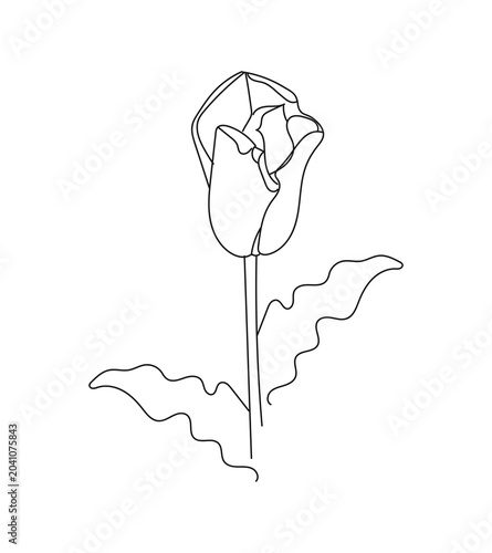 Single linear drawing of a tulip in a flat style on a white background.