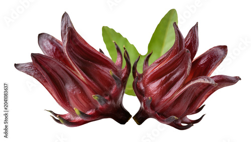 Фотография Two red roselle flowers with green leaves