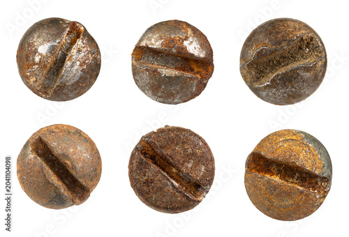 Six rusty screw heads with slotted drive on white