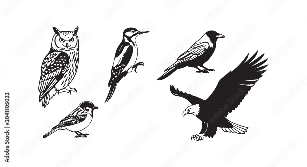 Fototapeta premium Realistic bird species collection featuring owl and woodpecker and crow and sparrow and eagle in monochrome graphic style.