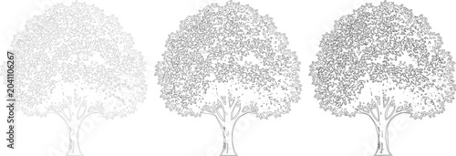 Photos Series of three bushy deciduous trees in line art style for environmental conservation graphics and forest biodiversity