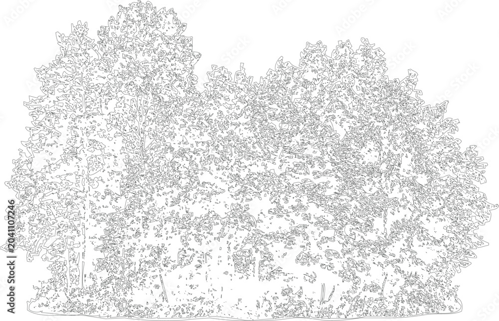 Obraz premium Bush vector outline illustration featuring dense foliage and natural growth for landscape design elements.