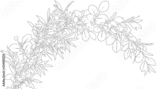 Tableau sur toile Detailed foliage branch line art for elegant wedding stationery and floral greeting cards with sophisticated artistic style