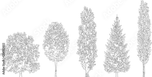 Fotografie Collection of five assorted tree outlines, showcasing different growth forms and leaf patterns, on transparent background