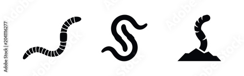 Foto Earthworm Icon Set