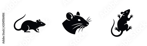 Photos Rat, mouse, and rodent icons set