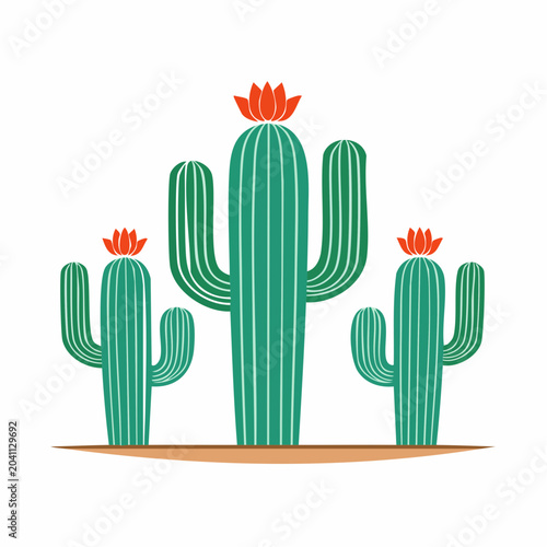 Three Saguaro Cacti with Orange Flowers