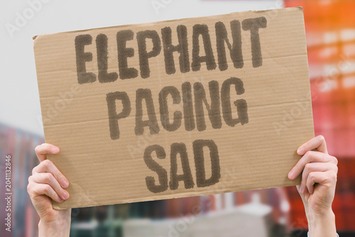 Quadro em tela "Elephant pacing sad" Zoo animal shows distress signs
