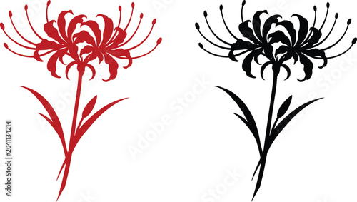 Bild auf Leinwand Red spider lily flower vector illustration