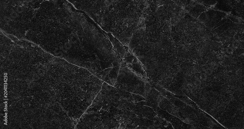 Bild auf Leinwand Black marble background with white veins
