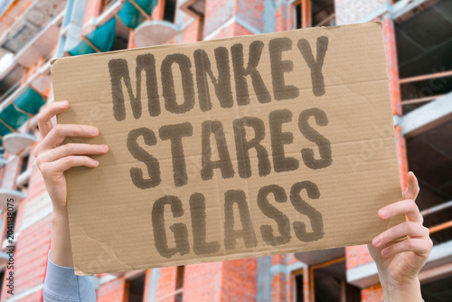 Bild auf Leinwand "Monkey stares glass" Primate watches visitors from enclosure